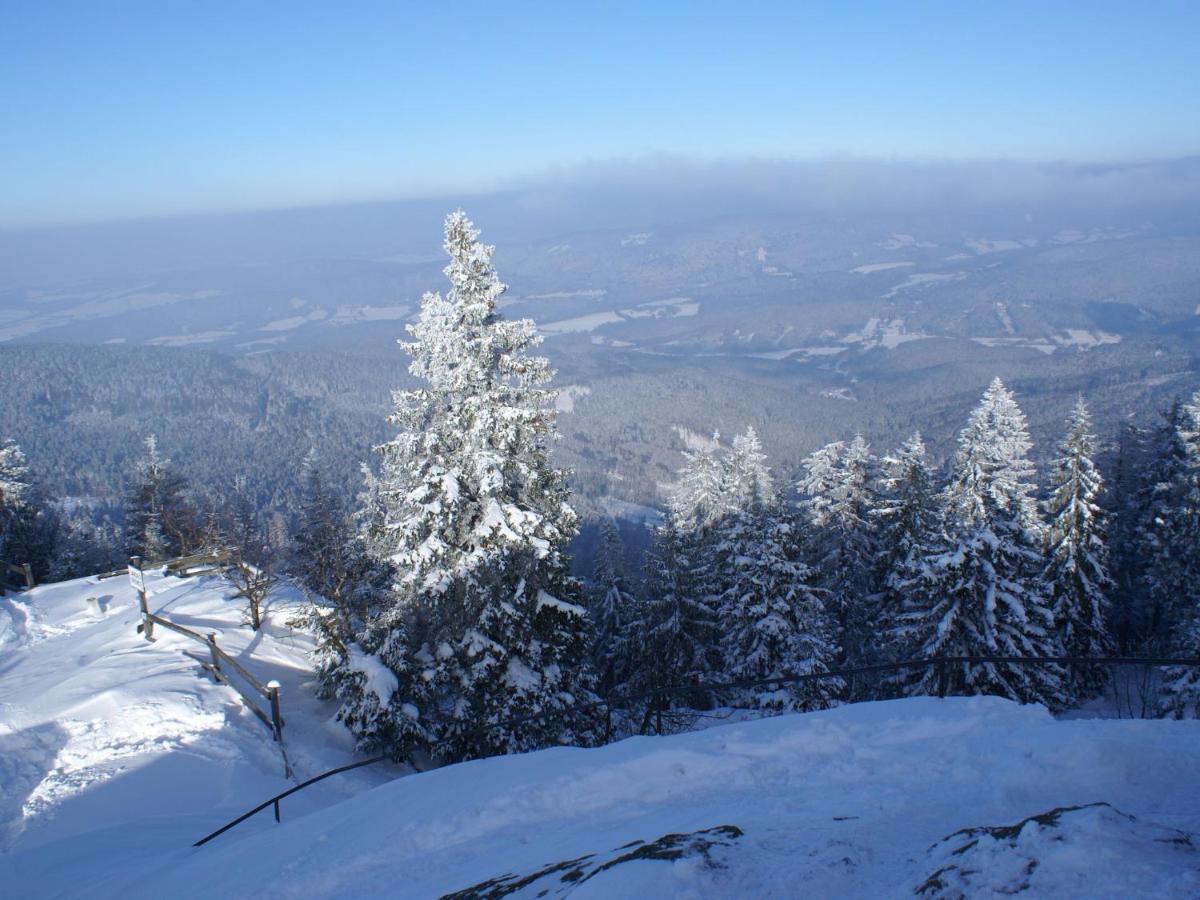 Lovely Holiday Home In Viechtach Near The Forest מראה חיצוני תמונה